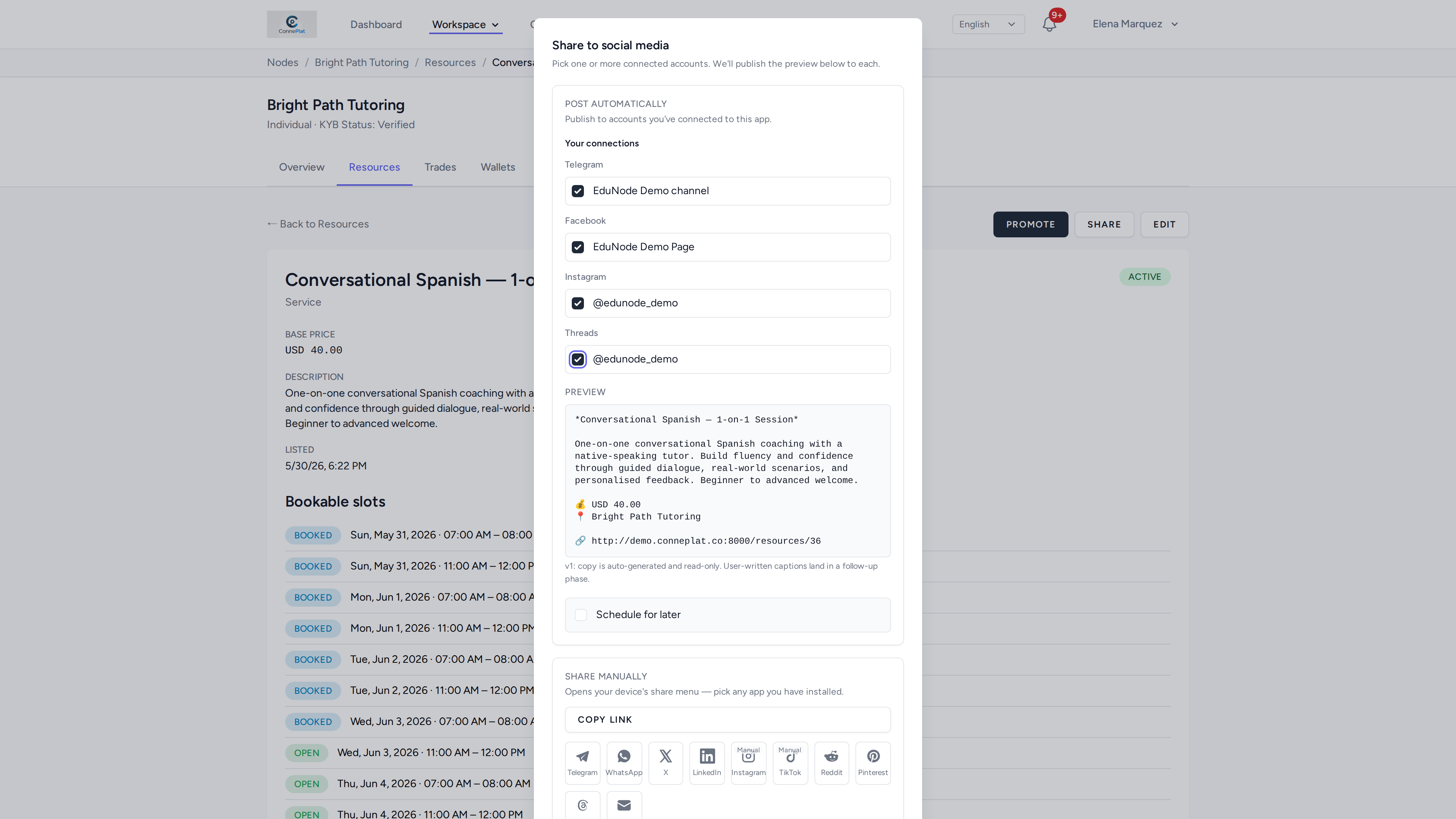 The share dialog: connected channels grouped by platform, the generated preview, the schedule option, and the manual share row.
